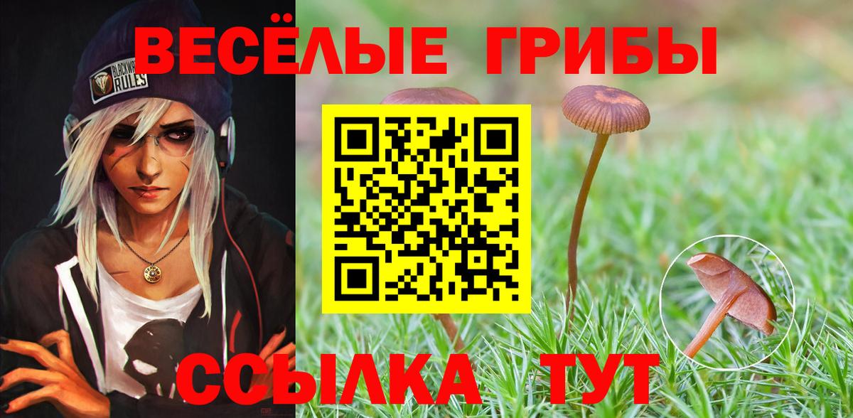 Железноводск  Псилоцибиновые грибы прущие грибы  Вход с VPN 